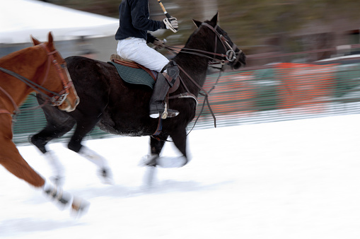 Photo libre de droit de Course De Chevaux Sur Un Terrain De Polo Sur