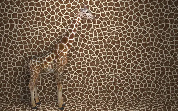Photo of Wild animal giraffe standing indoors merging with spotted background with a pattern of the skin of a giraffe.  Creative conceptual illustration. 3D rendering.