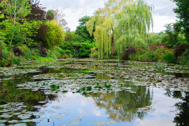 istock Pond with lilies in Giverny 1199033488