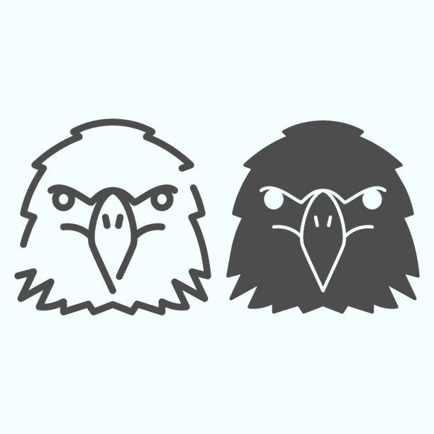 adler-kopflinie und glyphensymbol. vögel kopf vektor illustration isoliert auf weiß. leistungsstarke aussehende falke umriss stil design, für web und app entwickelt. eps 10. - animal body part stock-grafiken, -clipart, -cartoons und -symbole