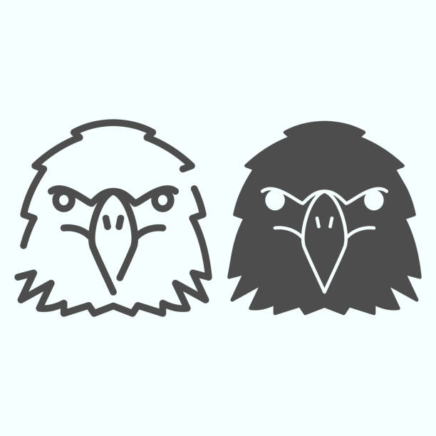 イーグルヘッドラインとグリフアイコン。白に隔離された鳥の頭ベクトルのイラスト。ウェブとアプリ用に設計された強力な見た目のタカアウトラインスタイルのデザイン。eps 10。 - 動物の身体各部点のイラスト素材／クリップアート素材／マンガ素材／アイコン素材