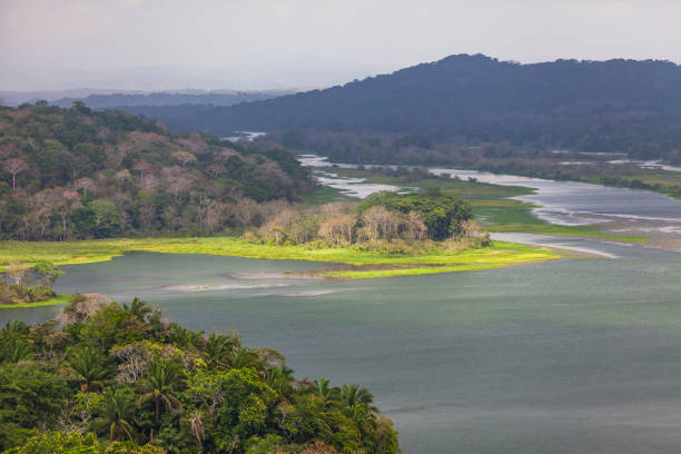 istock chagres river, panama canal, panama 1199037280