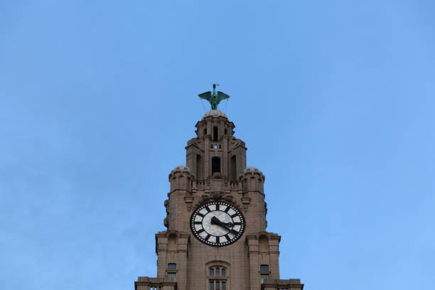 uhrenturm des royal liver building, liverpool, großbritannien - liverpool royal liver building clock tower building exterior stock-fotos und bilder