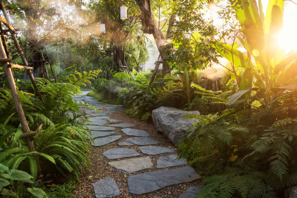 istock garden with mist and sunset light 1199041098