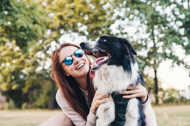 junge frau spielt mit einem hund im freien - zuggeschirr stock-fotos und bilder