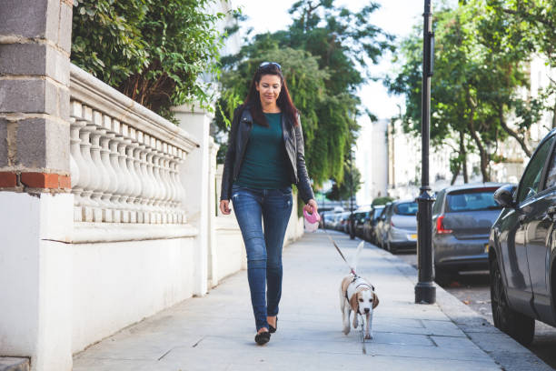 istock Morning walk with dog 1199044782