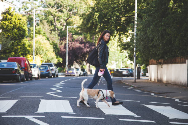 istock Morning walk with dog 1199044822
