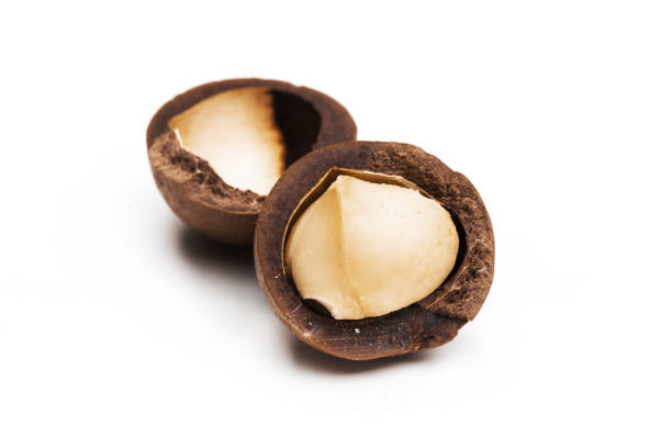 istock Shelled and unshelled macadamia nuts on white background 1199046489