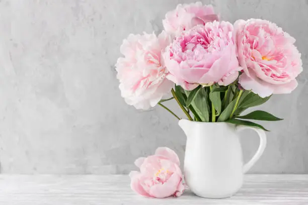 pink peony flowers bouquet on white background with copy space. still life. womens day or wedding concept. festive background