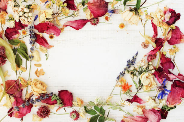 istock Dried herbs mix, floral petals framed top view background 1199051206