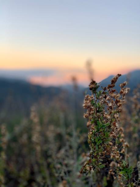 istock Beautiful Sunrise Hiking View 1199051513