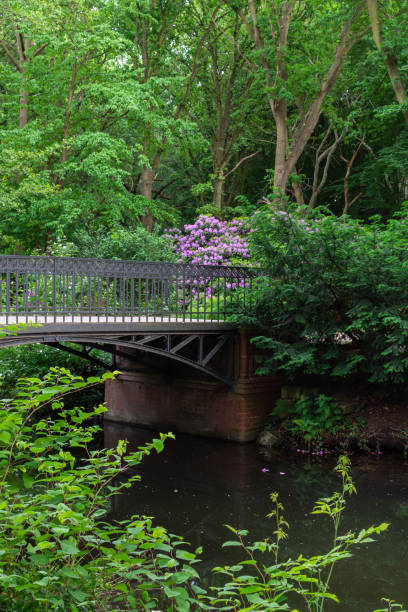 istock Walk through the Tiergarten park 1199054214