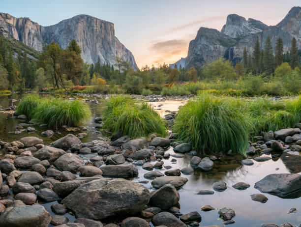 sunet vire von el capitan peak während der herbstsaison mit kleinem strom im vordergrund - yosemite falls tree branch landscape stock-fotos und bilder