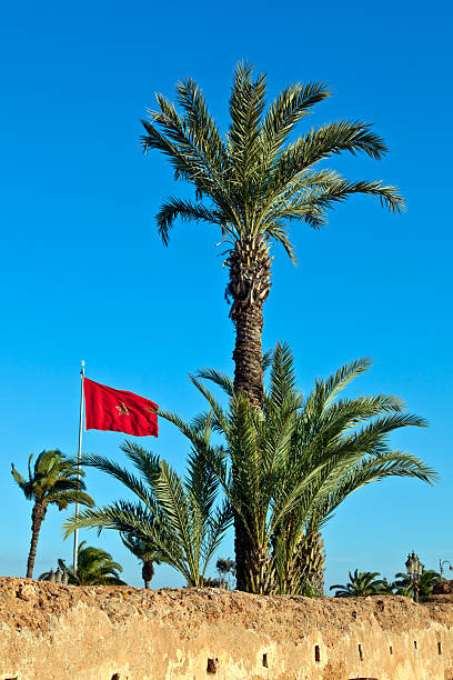 istock Flag in Mausoleum of Mohammed V 119905513