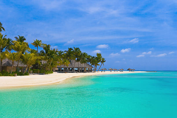 istock Beach bungalows on a tropical island 119905937