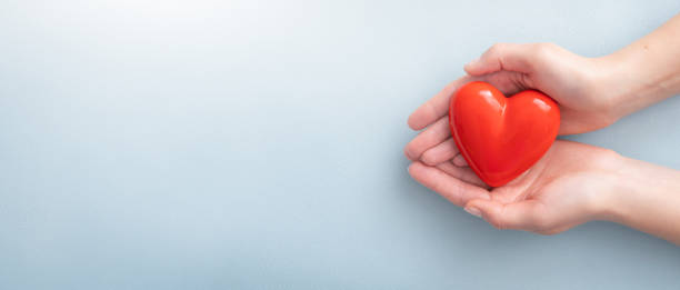 the woman is holding a red heart. - heart shape giving human hand gift imagens e fotografias de stock