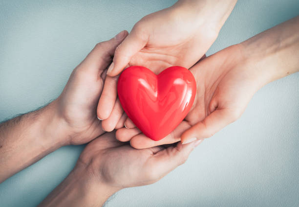 The adult and the child holding red heart. An adult, mother and child hold a red heart in their hands. Concept for charity, health insurance, love, international cardiology day. donors choose stock pictures, royalty-free photos & images