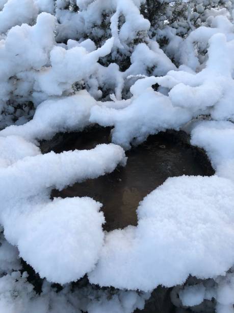 istock Snow Covered Birdbath With Frozen Water 1199060336