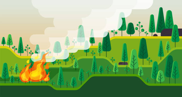ilustraciones, imágenes clip art, dibujos animados e iconos de stock de bush fuegos ardiendo. bosques. ilustración vectorial - wildfire smoke