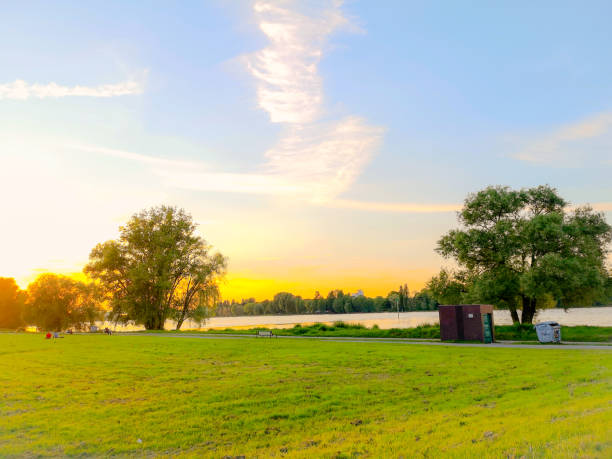 木々とケルンの川沿いの夏の緑の自然公園 - non urban scene landscaped clear sky germany スト�ックフォトと画像