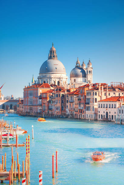 istock Santa Maria della Salute, Venice 1199070552
