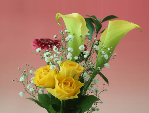 istock various kind of flowers in a red gradation background 1199070650