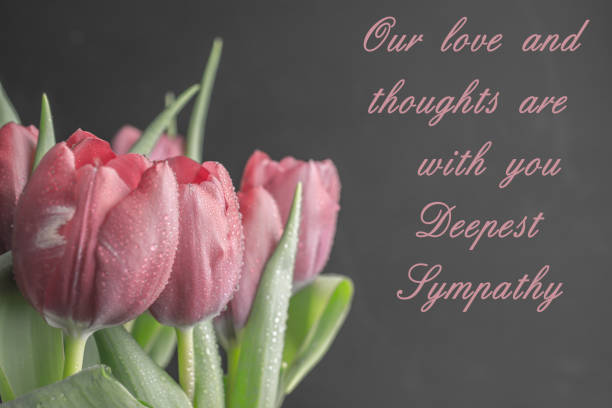 istock tulip on black background with text,our condolences 1199072593