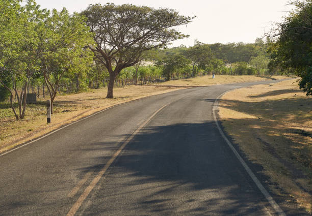 istock Asphalt country road 1199074685