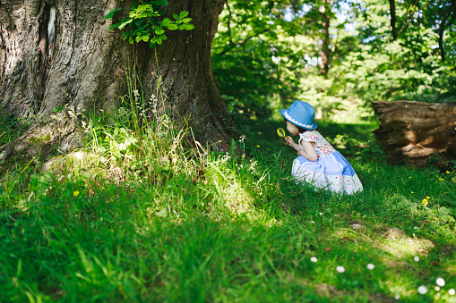 toddler girl playing in  summer forest park,northern Ireland