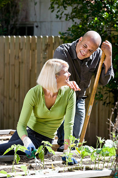 istock Couple working on vegetable garden in backyard 119907809