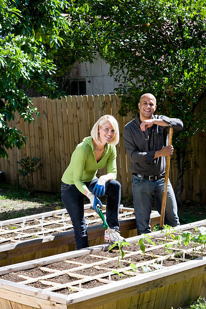 istock Couple working on vegetable garden in backyard 119907844