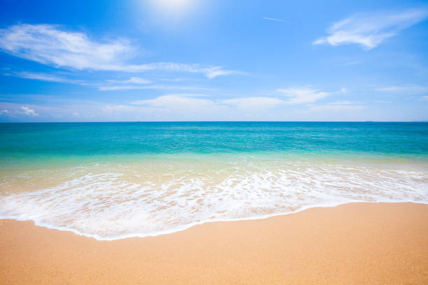 istock beautiful beach and tropical sea 1199079079