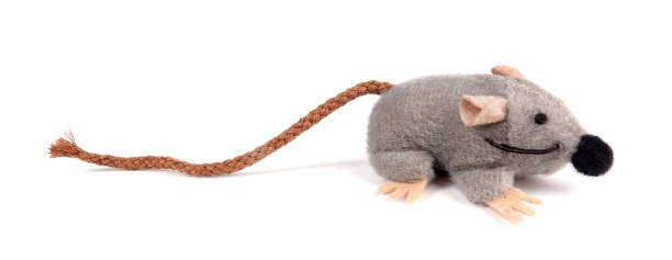 istock Artificial mouse grey pet toy for cats isolated on white background 1199080511