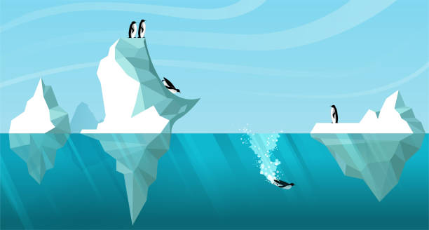 Panorama arctic seascape with floating icebergs and penguins Arctic daytime landscape showing white icebergs floating in the ocean. Penguins roll off an iceberg like a slide and dive into the water. One penguin is swimming underwater. Vector. Wildlife scene penguin stock illustrations