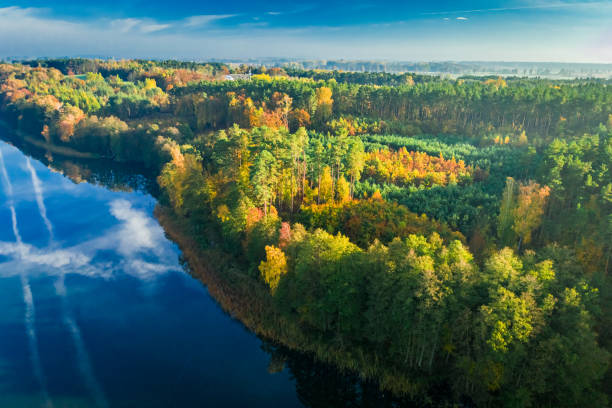 istock Crystal clear lake with chemtrail reflection and forest, aerial view 1199082045