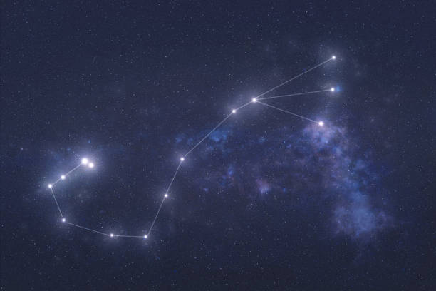 Scorpio Constellation in outer space Scorpio Constellation stars in outer space. Zodiac Sign Scorpio constellation lines. Elements of this image were furnished by NASA capricorn photos stock pictures, royalty-free photos & images