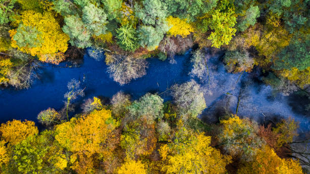 istock Blue river and autumn forest, view from above 1199083614