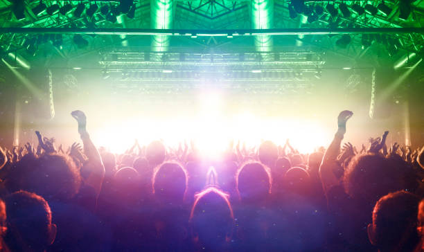 istock Music festival crowd 1199091560