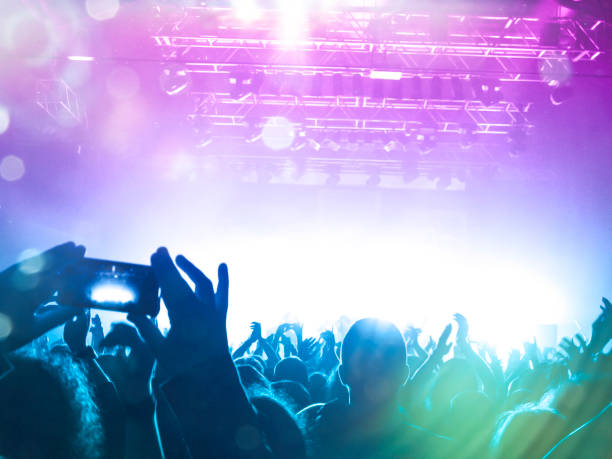 istock Music festival crowd 1199091590