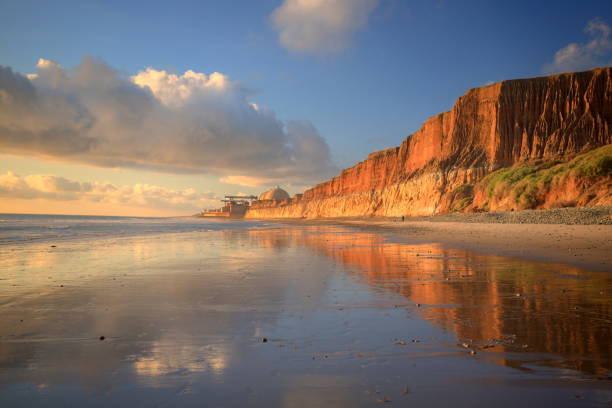 san onofre state beach - majestic landscape arid climate beach foto e immagini stock