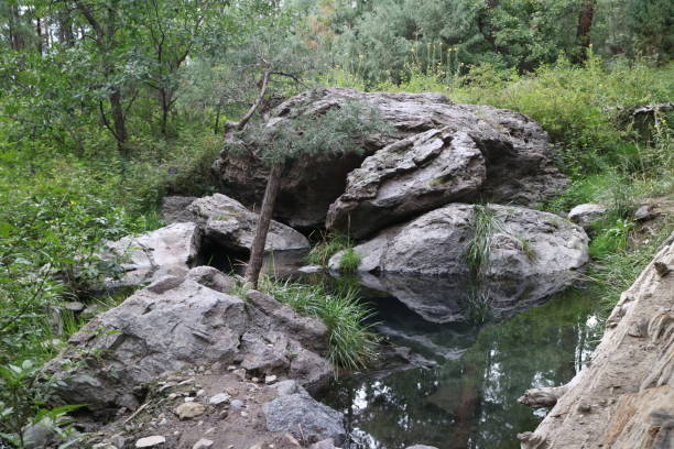 istock Lower hot spring -San Antonio spring in NM 1199109812