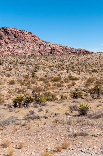 istock Red Rock Mountain in Desert in Daytime 1199110052