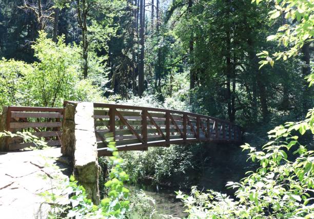 istock Footbridge in Silver Falls State Park 1199110923
