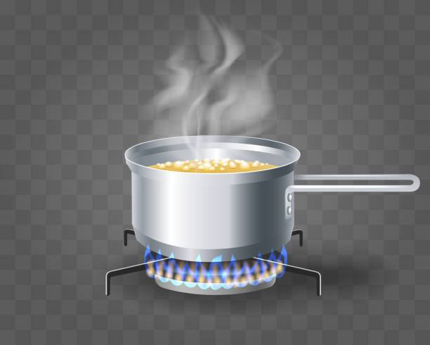 Cooking boiling soup water Cooking boiling soup water. Pan cookware with steaming boiled bouillon on gas burner, cooking saucepan vector illustration isolated on transparent background open flame stock illustrations