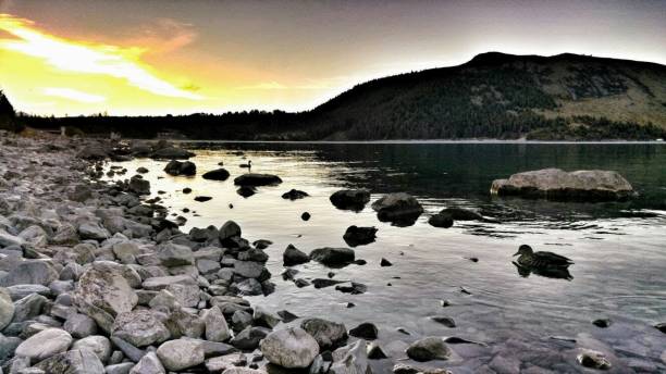istock Lake Te Anau at sunset 1199114669