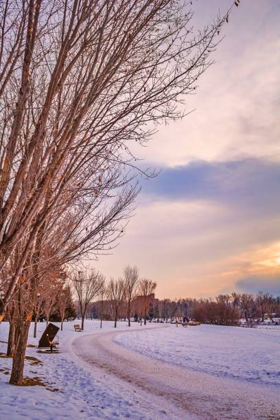 istock Snowy Park Walkway 1199116958