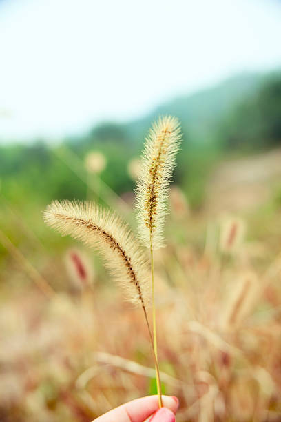 istock I Love Autumn 119912078
