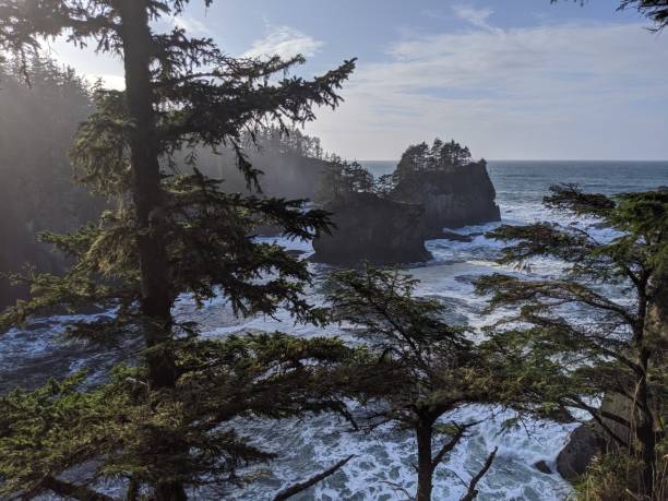 230+ Capo Flattery Foto stock, immagini e fotografie royaltyfree iStock