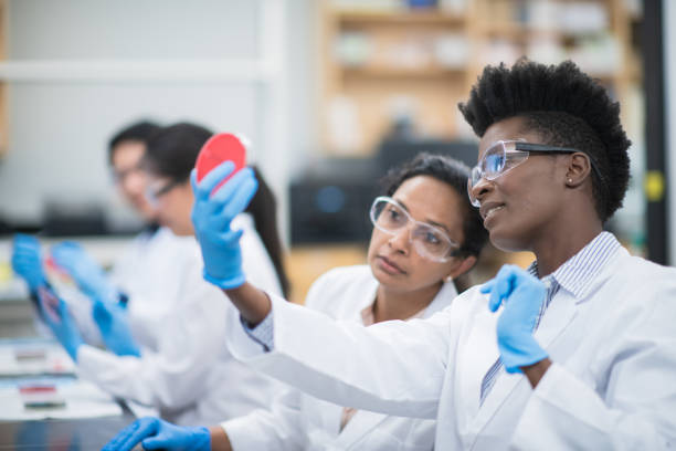 istock Laboratory Colleagues Working Together While Analyzing Petri Dish Samples stock photo 1199125893