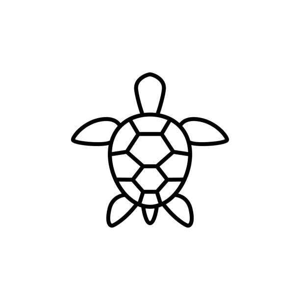 meeresschildkröten-ikone - 11320 stock-grafiken, -clipart, -cartoons und -symbole
